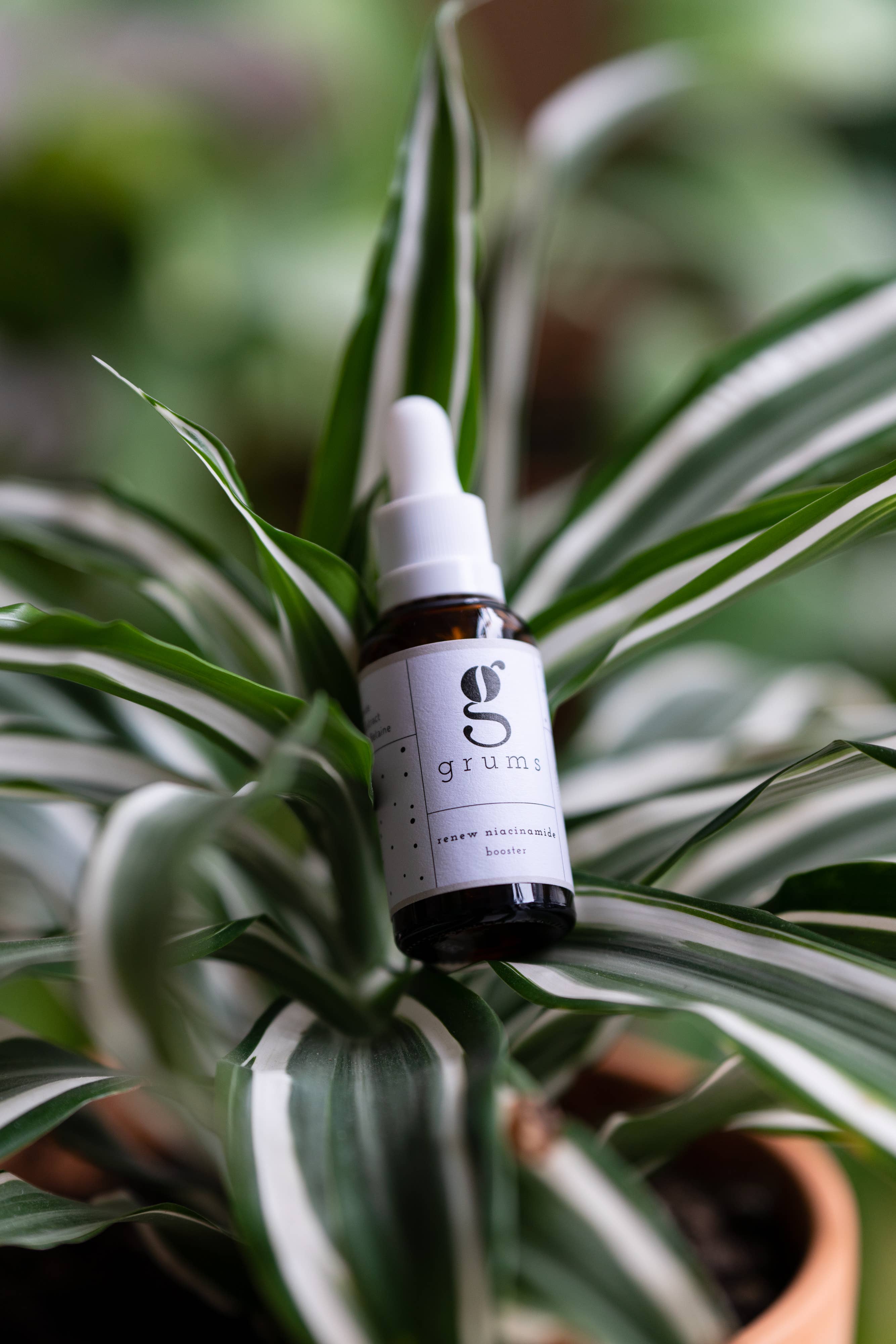 Grums  10% Niacinamide Face Serum