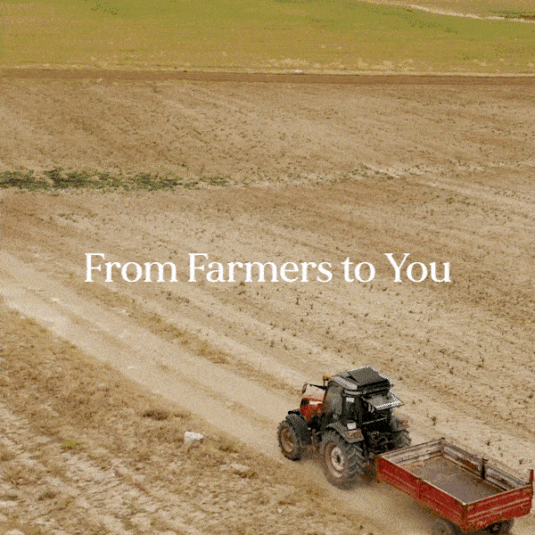 Organic Black Seed Oil 250ml