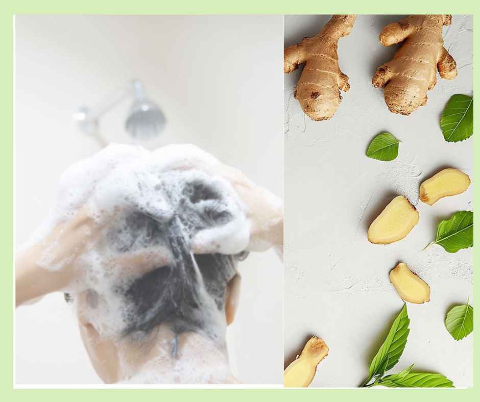 Ginger & Mint Shampoo Bar