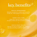 Sweet Almond Oil (Organic) 100ml