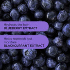 Purple Reign Shampoo