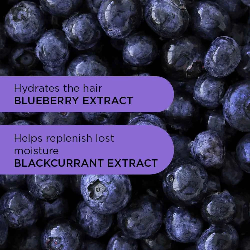 Purple Reign Shampoo