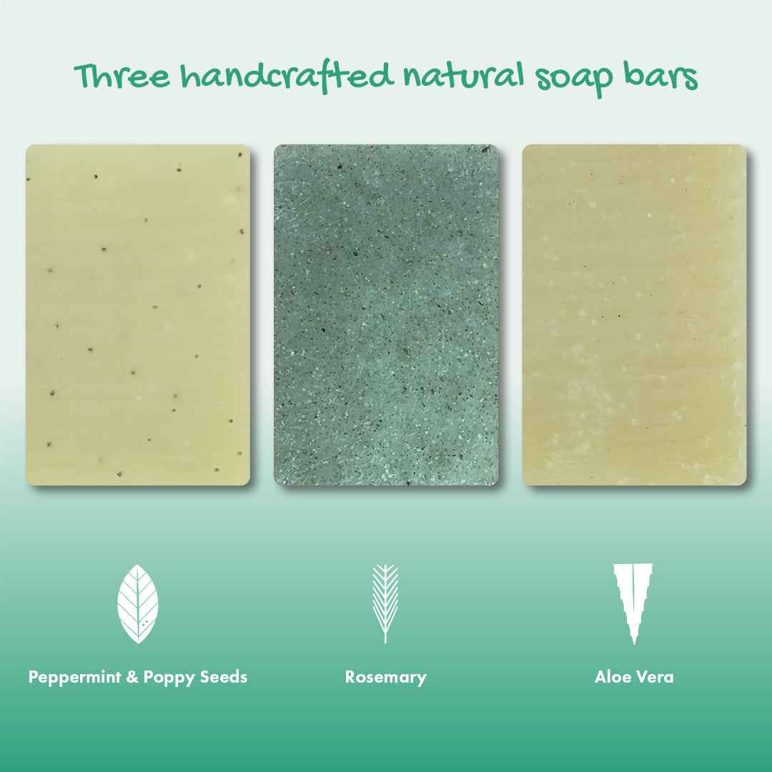 Trio Gift Set - Peppermint & Poppy Seeds, Rosemary, Aloe Vera