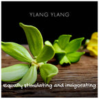 Ylang Ylang Natural Soap